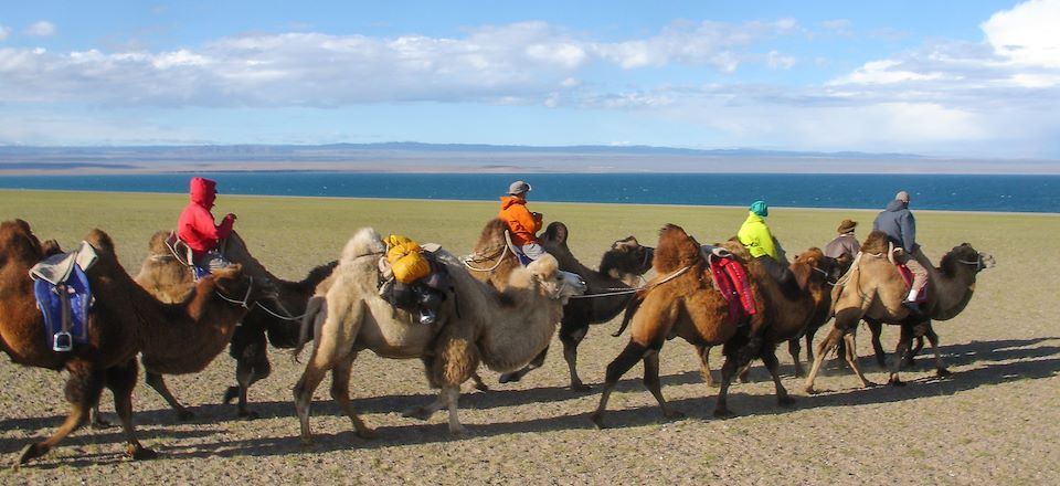 Traversée intégrale à pied de la Mongolie, avec une caravane de chameaux de Bactriane, dans les massifs de l'Altaï et du Khangaï